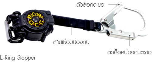 Safety Belt